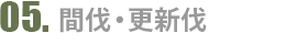 間伐・更新伐
